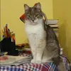 Отзыв от Маргарита Алексеева